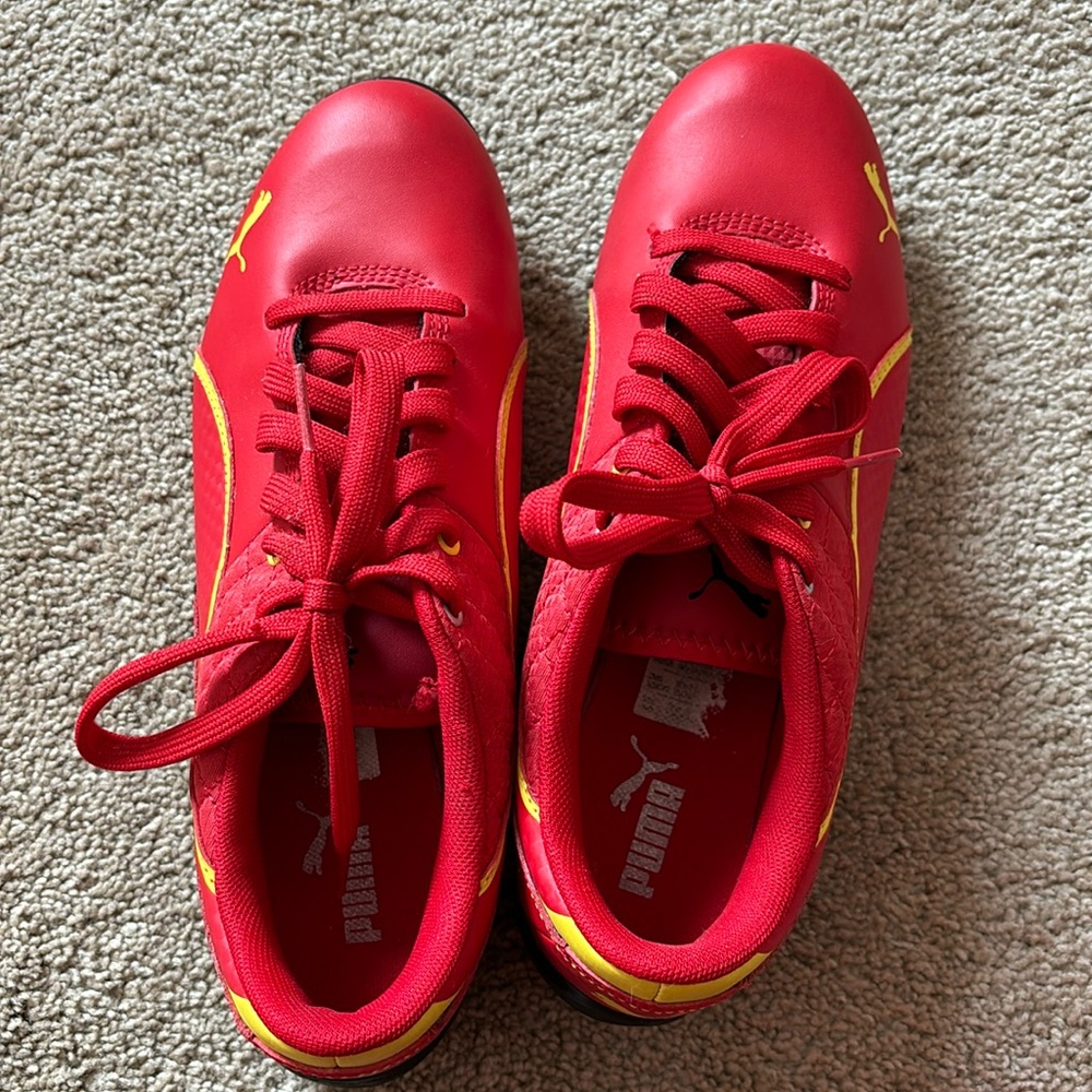 Worn a couple times still in great condition small snag on the inside as shown